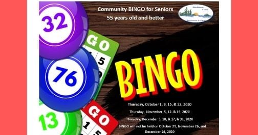 bingo-for-seniors-wizs