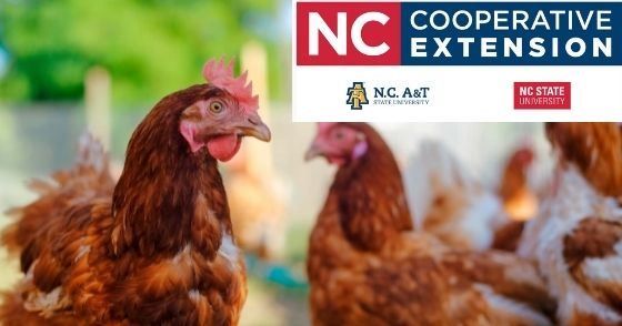 Avian Flu on Weekly Home and Garden Show